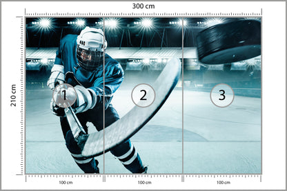 Fototapeta Hokeista W Akcji 300 × 210 cm – podgląd kadru