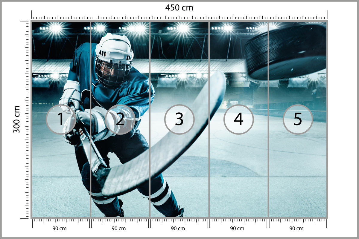 Fototapeta Hokeista W Akcji 450 × 300 cm – podgląd kadru