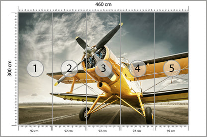 Fototapeta Zabytkowy Samolot 460 × 300 cm – podgląd kadru