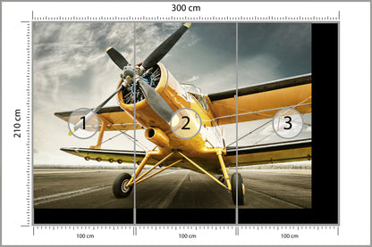 Fototapeta Zabytkowy Samolot 300 × 210 cm – podgląd kadru