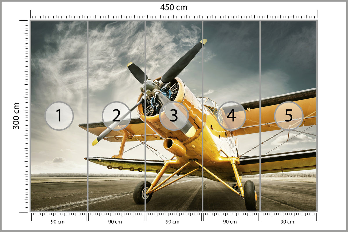 Fototapeta Zabytkowy Samolot 450 × 300 cm – podgląd kadru