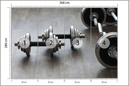 Fototapeta Hantle I Sztangi 368 × 280 cm – podgląd kadru