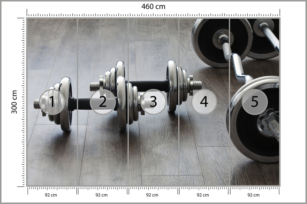 Fototapeta Hantle I Sztangi 460 × 300 cm – podgląd kadru