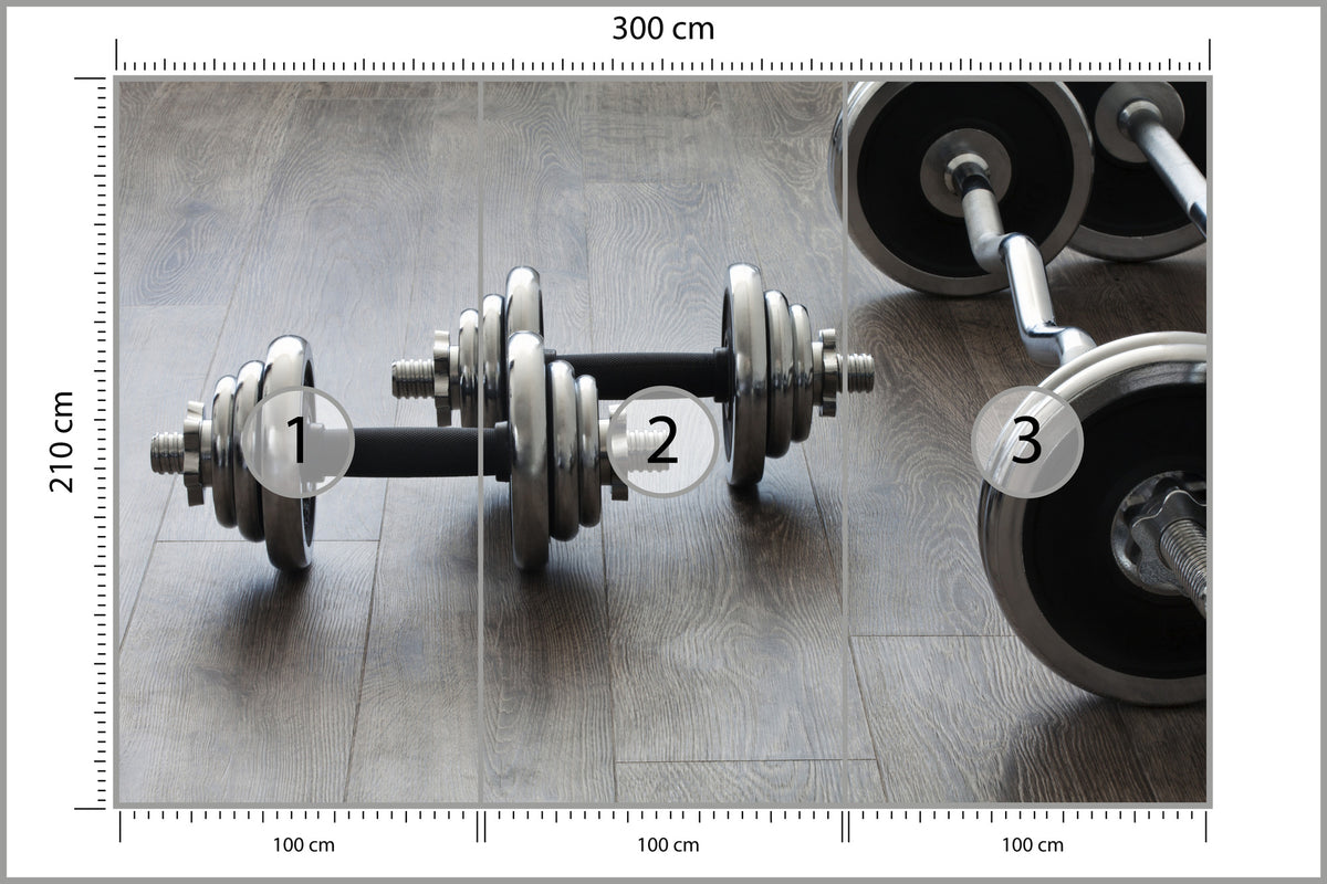 Fototapeta Hantle I Sztangi 300 × 210 cm – podgląd kadru