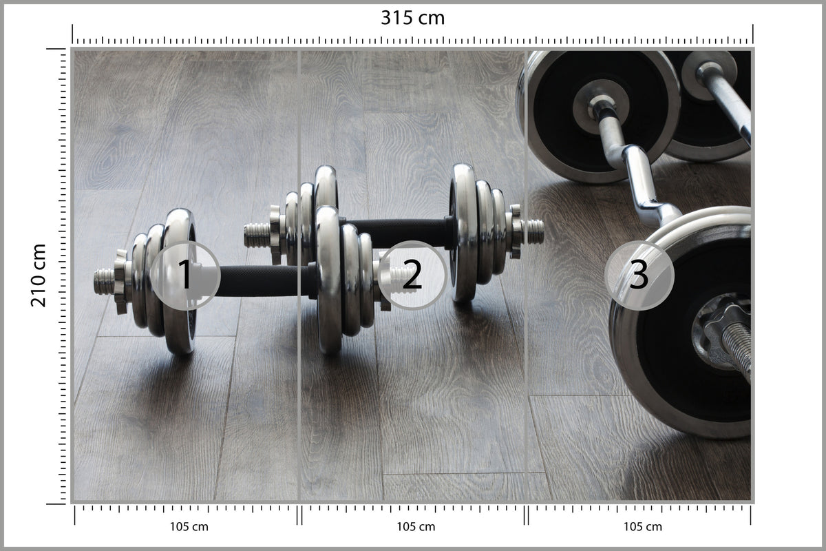 Fototapeta Hantle I Sztangi 315 × 210 cm – podgląd kadru