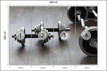 Fototapeta Hantle I Sztangi 400 × 280 cm – podgląd kadru
