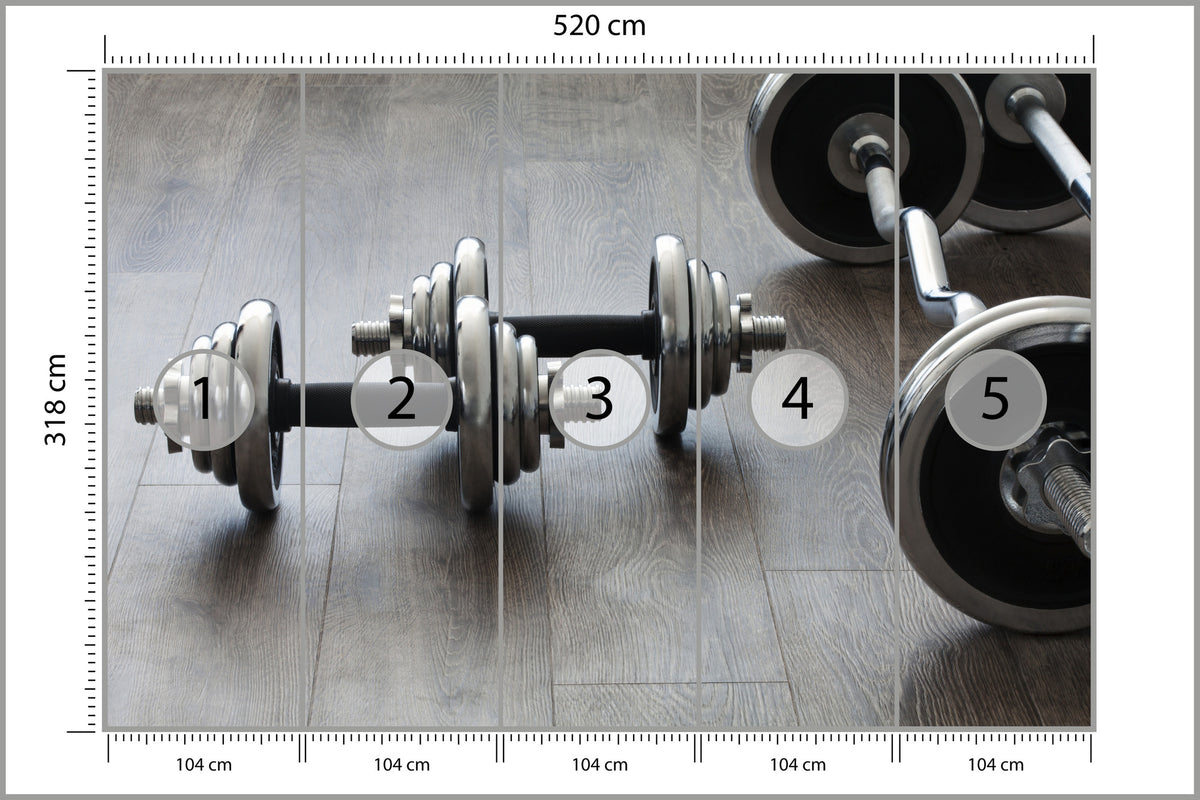 Fototapeta Hantle I Sztangi 520 × 318 cm – podgląd kadru