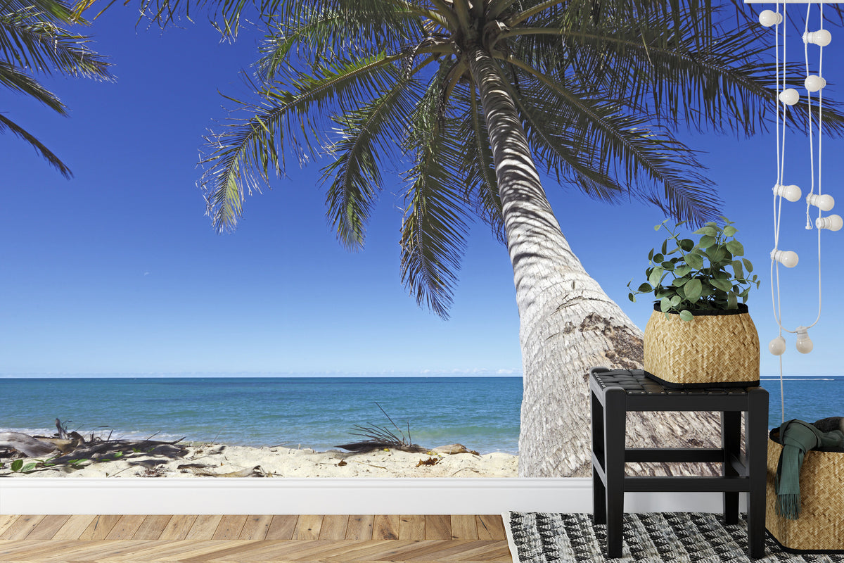 Fototapeta Plaża Ocean Palmy Pochylona Palma – aranżacja wnętrza