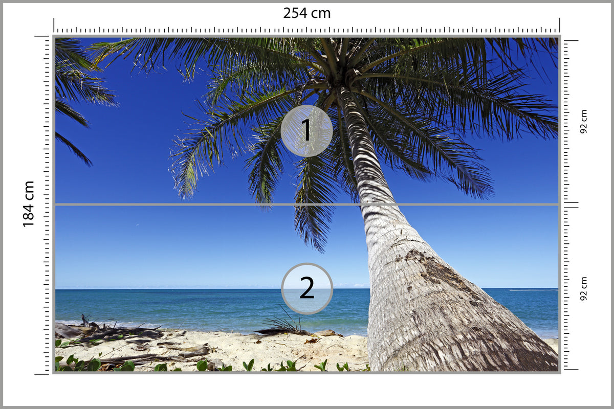 Fototapeta Plaża Ocean Palmy Pochylona Palma 254 × 184 cm – podgląd kadru