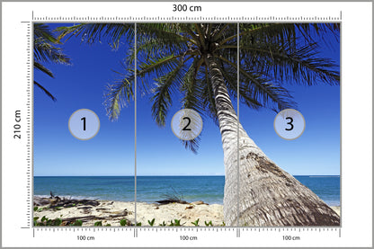 Fototapeta Plaża Ocean Palmy Pochylona Palma 300 × 210 cm – podgląd kadru