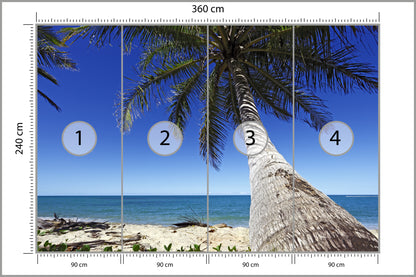 Fototapeta Plaża Ocean Palmy Pochylona Palma 360 × 240 cm – podgląd kadru