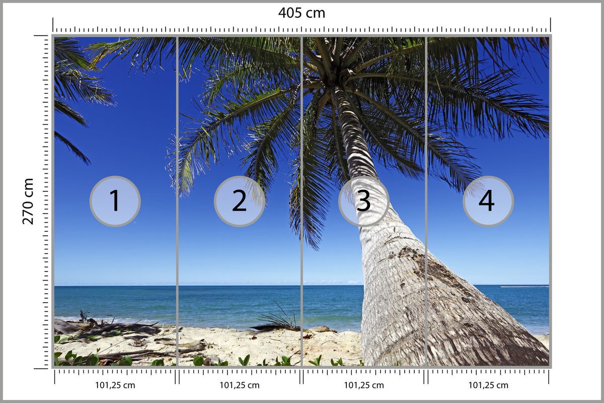 Fototapeta Plaża Ocean Palmy Pochylona Palma 405 × 270 cm – podgląd kadru