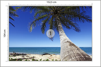 Fototapeta Plaża Ocean Palmy Pochylona Palma 152,5 × 104 cm – podgląd kadru