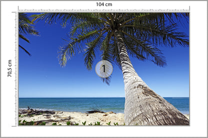 Fototapeta Plaża Ocean Palmy Pochylona Palma 104 × 70,5 cm – podgląd kadru
