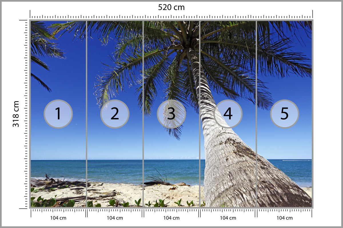 Fototapeta Plaża Ocean Palmy Pochylona Palma 520 × 318 cm – podgląd kadru