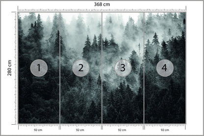 Fototapeta Las We Mgle Ciemny I Tajemniczy 368 × 280 cm – podgląd kadru