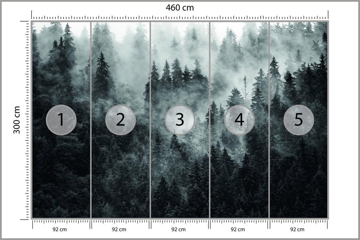 Fototapeta Las We Mgle Ciemny I Tajemniczy 460 × 300 cm – podgląd kadru