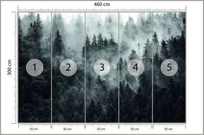 Fototapeta Las We Mgle Ciemny I Tajemniczy 460 × 300 cm – podgląd kadru