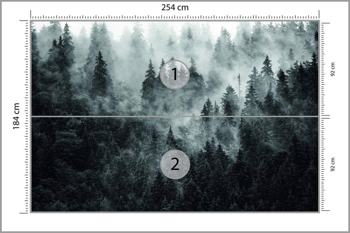 Fototapeta Las We Mgle Ciemny I Tajemniczy 254 × 184 cm – podgląd kadru