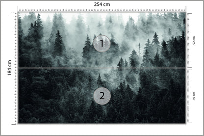 Fototapeta Las We Mgle Ciemny I Tajemniczy 254 × 184 cm – podgląd kadru