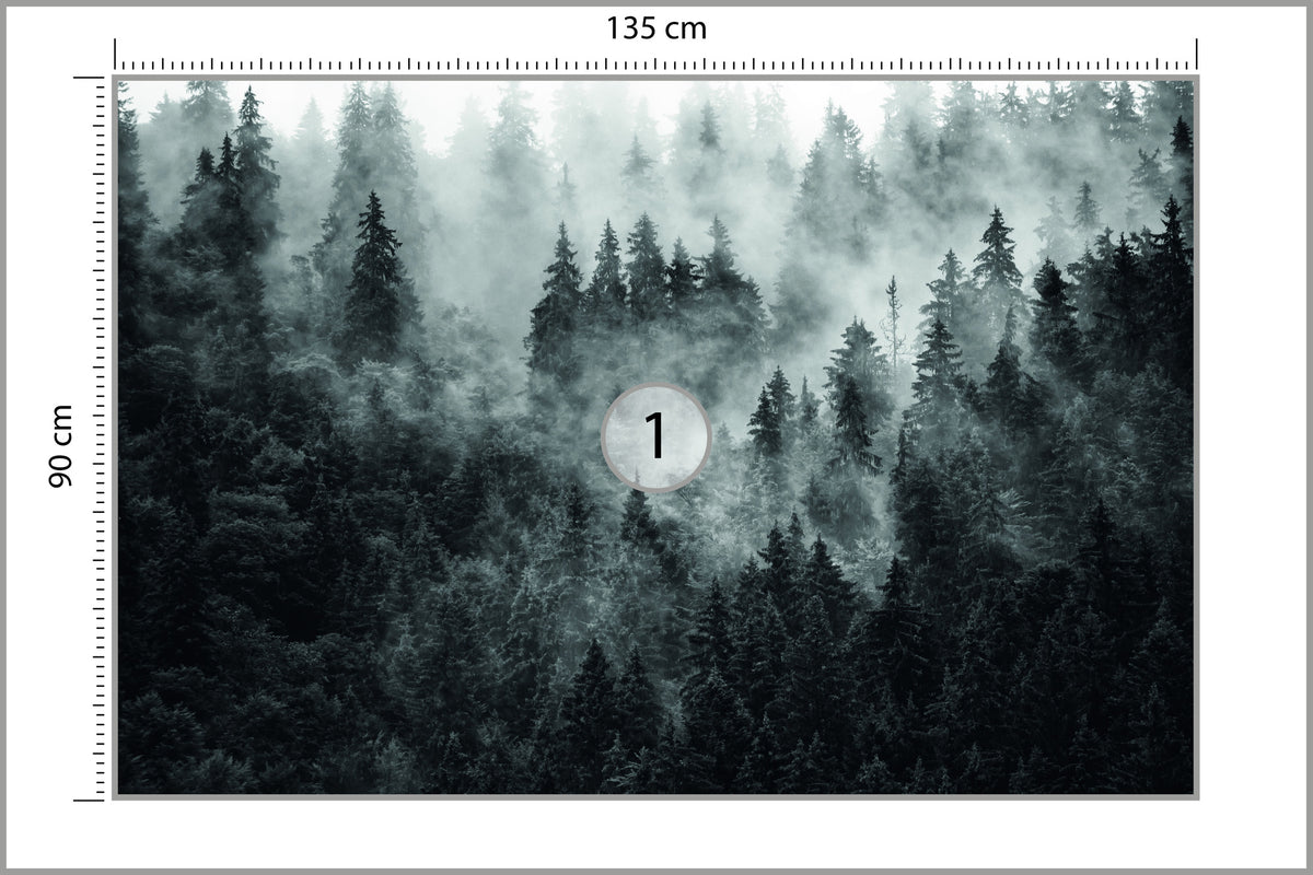 Fototapeta Las We Mgle Ciemny I Tajemniczy 135 × 90 cm – podgląd kadru