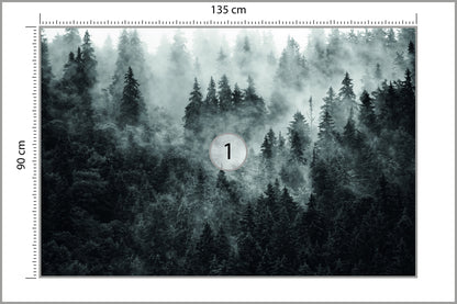 Fototapeta Las We Mgle Ciemny I Tajemniczy 135 × 90 cm – podgląd kadru