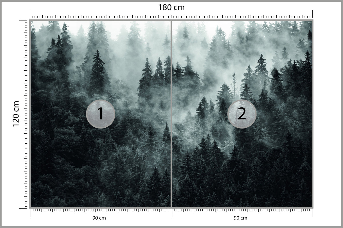 Fototapeta Las We Mgle Ciemny I Tajemniczy 180 × 120 cm – podgląd kadru