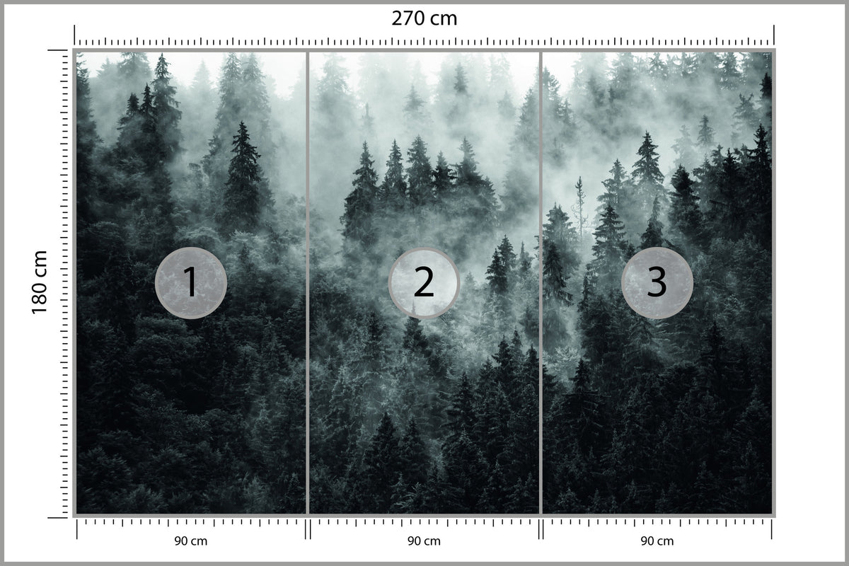 Fototapeta Las We Mgle Ciemny I Tajemniczy 270 × 180 cm – podgląd kadru
