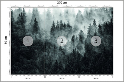 Fototapeta Las We Mgle Ciemny I Tajemniczy 270 × 180 cm – podgląd kadru