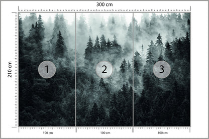 Fototapeta Las We Mgle Ciemny I Tajemniczy 300 × 210 cm – podgląd kadru