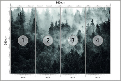 Fototapeta Las We Mgle Ciemny I Tajemniczy 360 × 240 cm – podgląd kadru