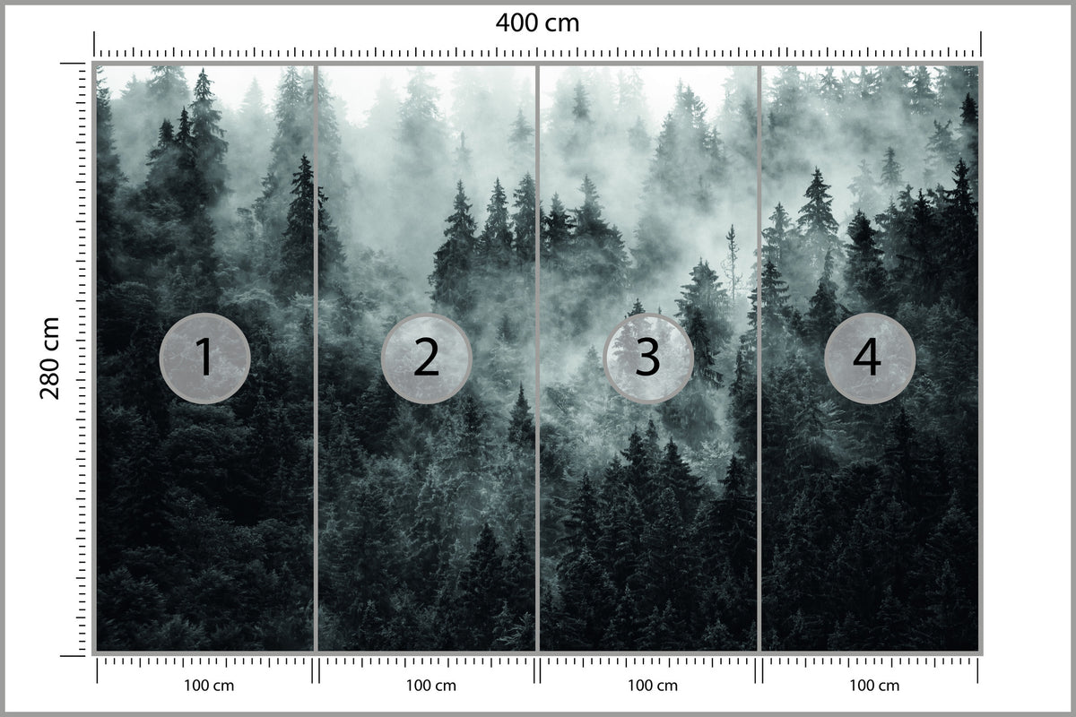 Fototapeta Las We Mgle Ciemny I Tajemniczy 400 × 280 cm – podgląd kadru