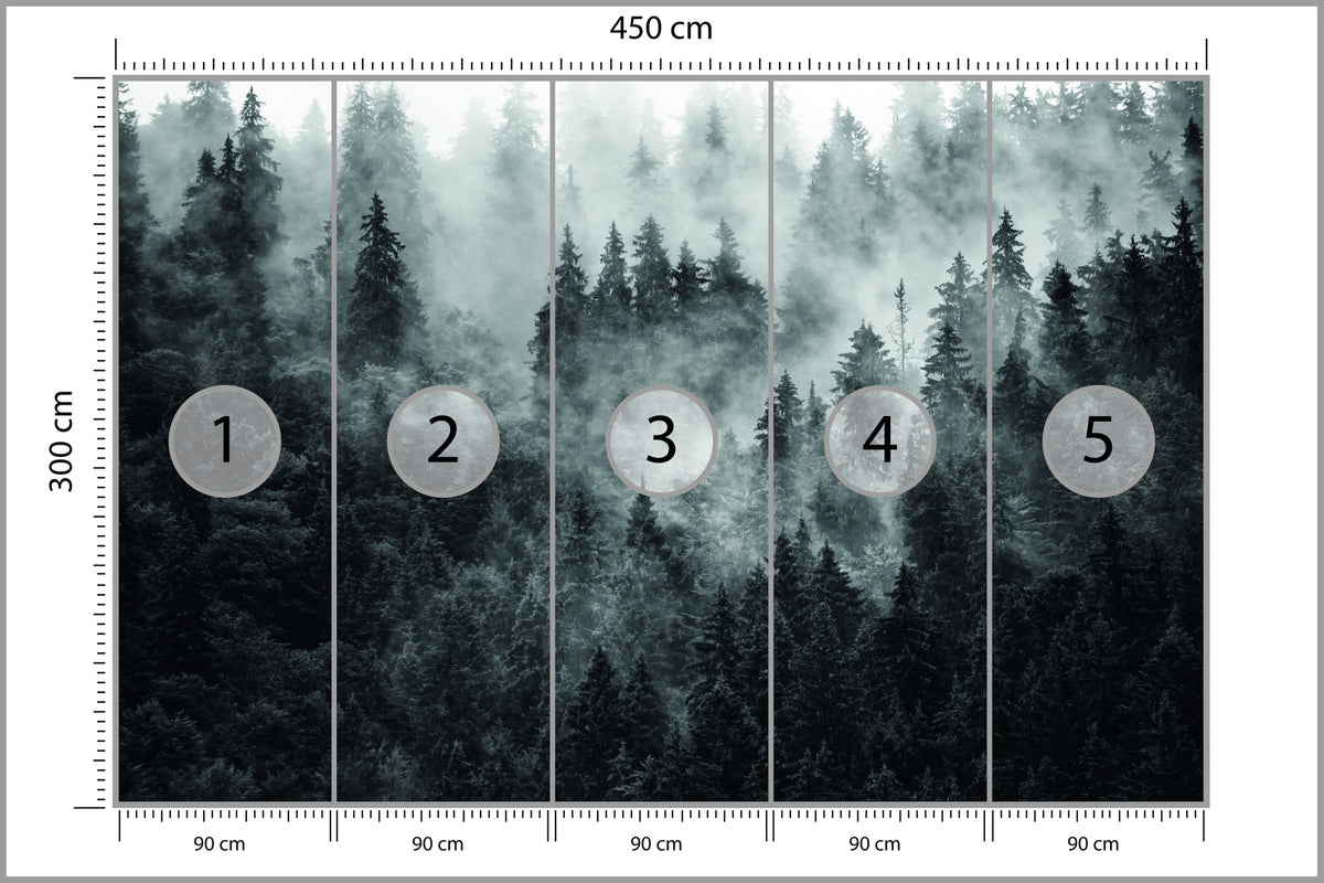 Fototapeta Las We Mgle Ciemny I Tajemniczy 450 × 300 cm – podgląd kadru