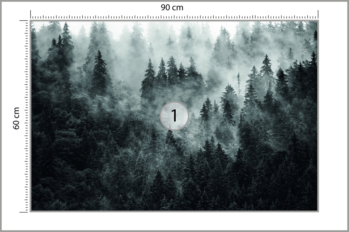 Fototapeta Las We Mgle Ciemny I Tajemniczy 90 × 60 cm – podgląd kadru