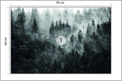 Fototapeta Las We Mgle Ciemny I Tajemniczy 90 × 60 cm – podgląd kadru