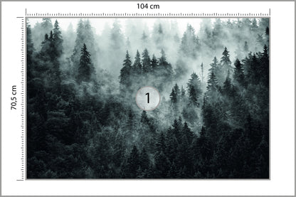 Fototapeta Las We Mgle Ciemny I Tajemniczy 104 × 70,5 cm – podgląd kadru