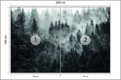 Fototapeta Las We Mgle Ciemny I Tajemniczy 208 × 146 cm – podgląd kadru