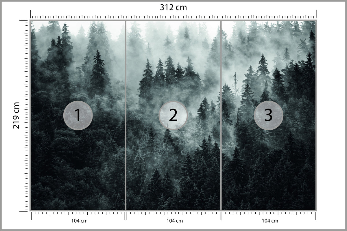 Fototapeta Las We Mgle Ciemny I Tajemniczy 312 × 219 cm – podgląd kadru