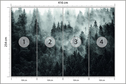 Fototapeta Las We Mgle Ciemny I Tajemniczy 416 × 254 cm – podgląd kadru