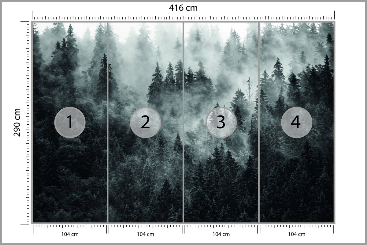 Fototapeta Las We Mgle Ciemny I Tajemniczy 416 × 290 cm – podgląd kadru