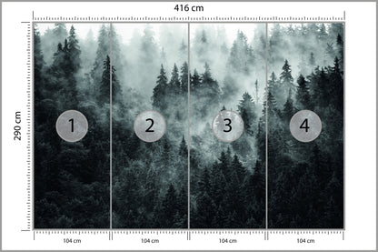 Fototapeta Las We Mgle Ciemny I Tajemniczy 416 × 290 cm – podgląd kadru