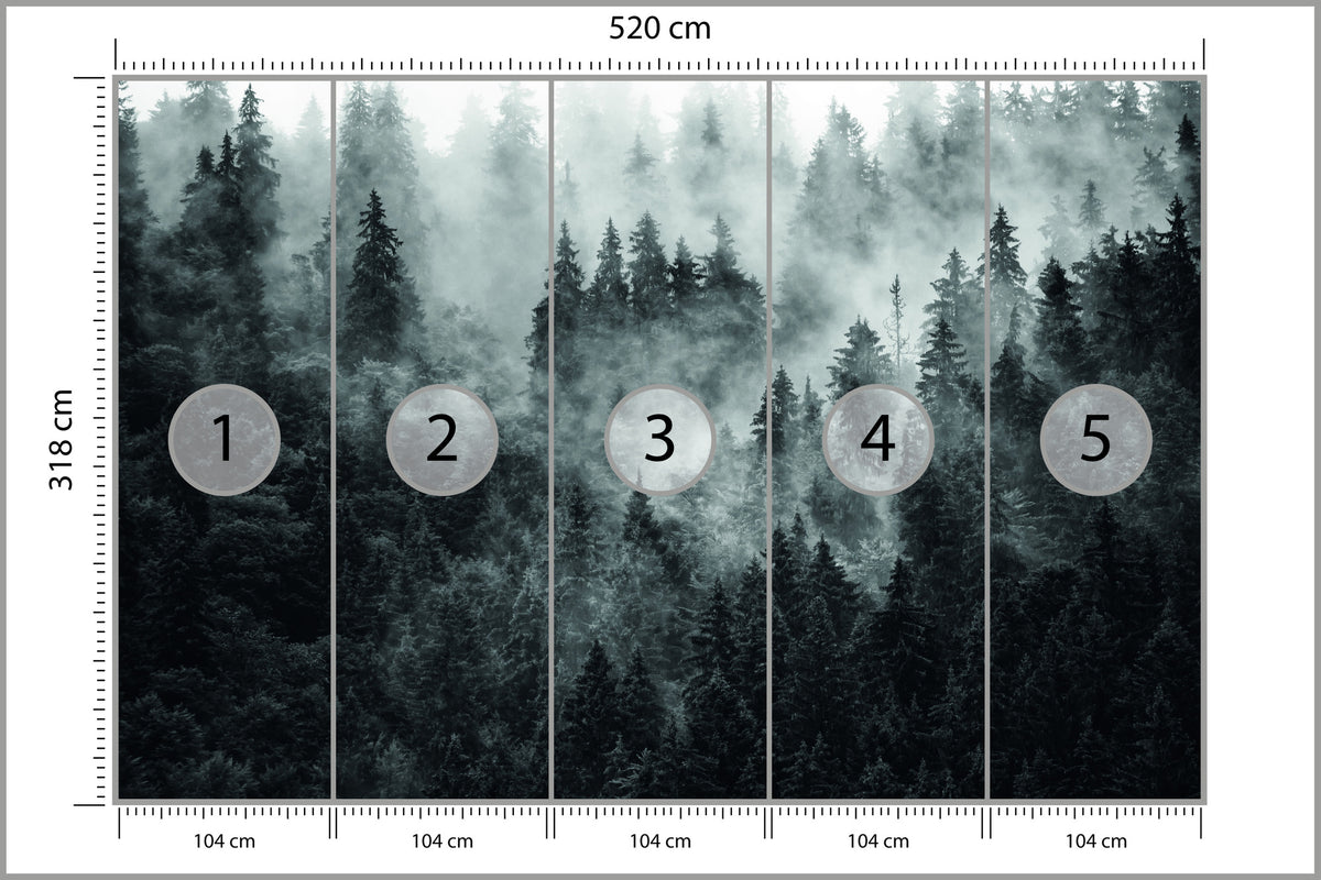 Fototapeta Las We Mgle Ciemny I Tajemniczy 520 × 318 cm – podgląd kadru