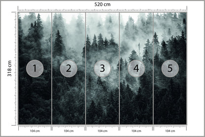 Fototapeta Las We Mgle Ciemny I Tajemniczy 520 × 318 cm – podgląd kadru