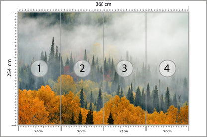 Fototapeta Mgła Nad Jesiennym Lasem 368 × 254 cm – podgląd kadru