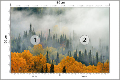 Fototapeta Mgła Nad Jesiennym Lasem 180 × 120 cm – podgląd kadru