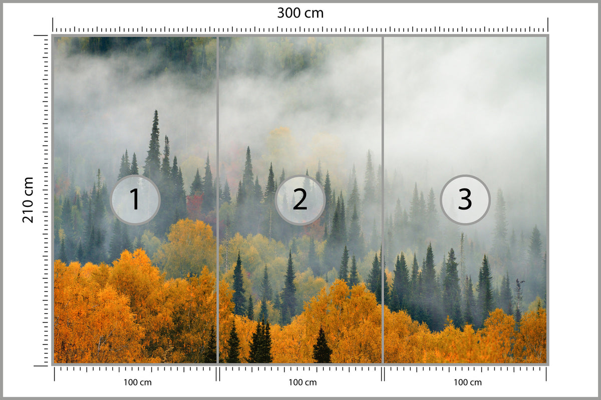 Fototapeta Mgła Nad Jesiennym Lasem 300 × 210 cm – podgląd kadru