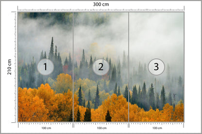 Fototapeta Mgła Nad Jesiennym Lasem 300 × 210 cm – podgląd kadru