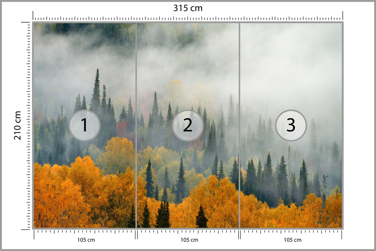 Fototapeta Mgła Nad Jesiennym Lasem 315 × 210 cm – podgląd kadru