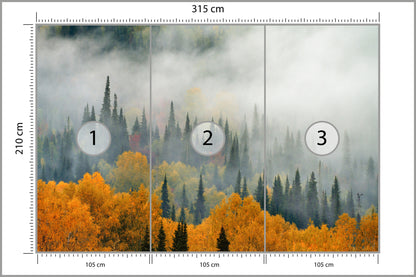 Fototapeta Mgła Nad Jesiennym Lasem 315 × 210 cm – podgląd kadru