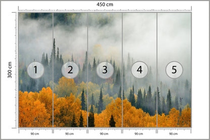Fototapeta Mgła Nad Jesiennym Lasem 450 × 300 cm – podgląd kadru